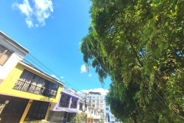 Guadual amenaza casas en el Campín