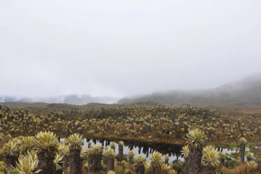 Autoridades de varios departamentos trabajan en la reactivación del geoparque en Los Nevados como estrategia de turismo y sostenibilidad.