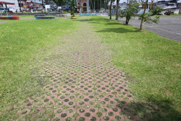 La maleza invadió el Parque Liborio