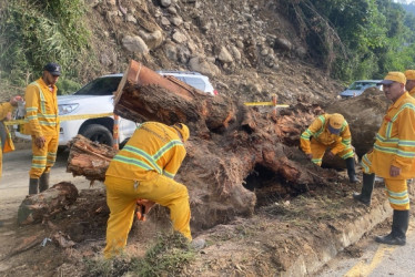 Este martes se habilitaría la vía Panamericana por completo, dos días después de que un derrumbe bloqueó el paso vehicular en La Playita (Manizales). Hay un carril cerrado.