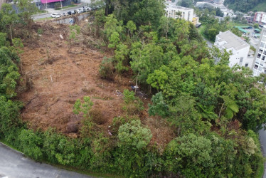 Habitantes de calle invaden reserva Camino de la Palma