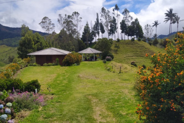 Caldas, un destino turístico apetecido: gremio reporta más ingresos, estos son los paisajes que lo impulsan