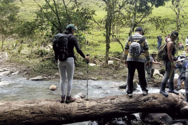 Así se transforma el turismo de naturaleza en Risaralda con impacto comunitario