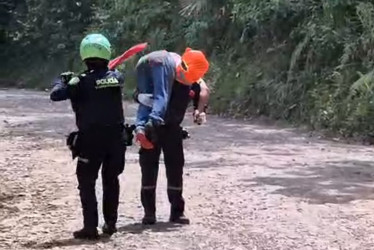 El afectado, de 80 años, sufrió unas 500 picaduras de abejorro, según informaron los socorristas.