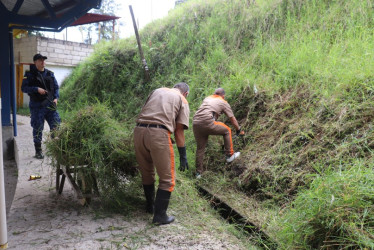 Los internos podaron zonas verdes, hicieron mantenimiento a las graderías del coliseo y lavaron algunos espacios del recinto ferial.