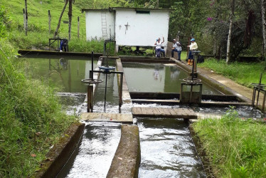 Las comunas 7, 8, 9, 10 y 11 de Dosquebradas son las afectadas por la suspensión del servicio