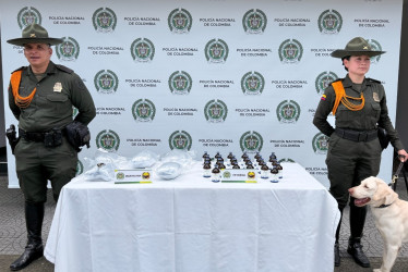 Los cargamentos hallados por Axel estaban en dos encomiendas enviadas desde Cali e Ipiales.