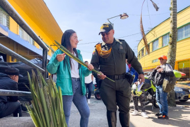 Como alternativa, se recomienda reemplazar la palma de cera por opciones sostenibles como pañuelos blancos, ramas de especies permitidas 