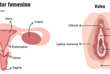 “Cuando el dolor menstrual te incapacita no es normal”: explica la experta Ana Bolena Meléndez de Revolución Roja, quien habla de la importancia de conocer y escuchar el cuerpo. 