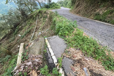 Un dolor de cabeza compartido: con una acción popular y 675 firmas digitales piden obras para reparar una vía crítica que conecta a Caldas con Tolima.