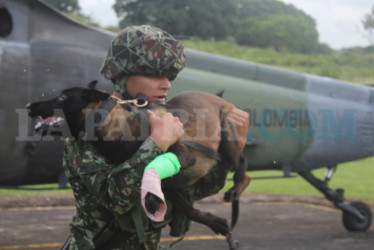 A Candy la trasladaron en un helicóptero y recibió atención en un centro especializado en Ibagué.