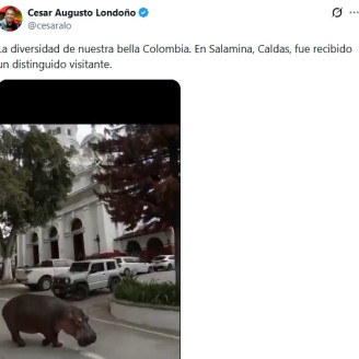 César Augusto Londoño cae con un hipopótamo Foto | Tomada de Twitter | LA PATRIA