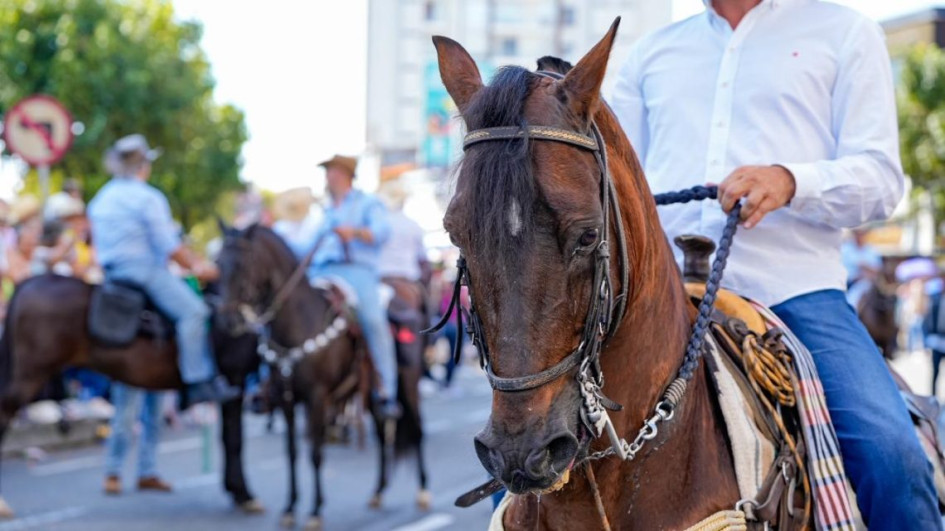 Así serán los controles de la Secretaría de Medio Ambiente durante la cabalgata de la Feria de Manizales
