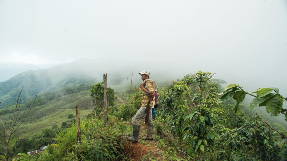 Familias de seis municipios se beneficiaron con sentencias de jueces de restitución de tierras