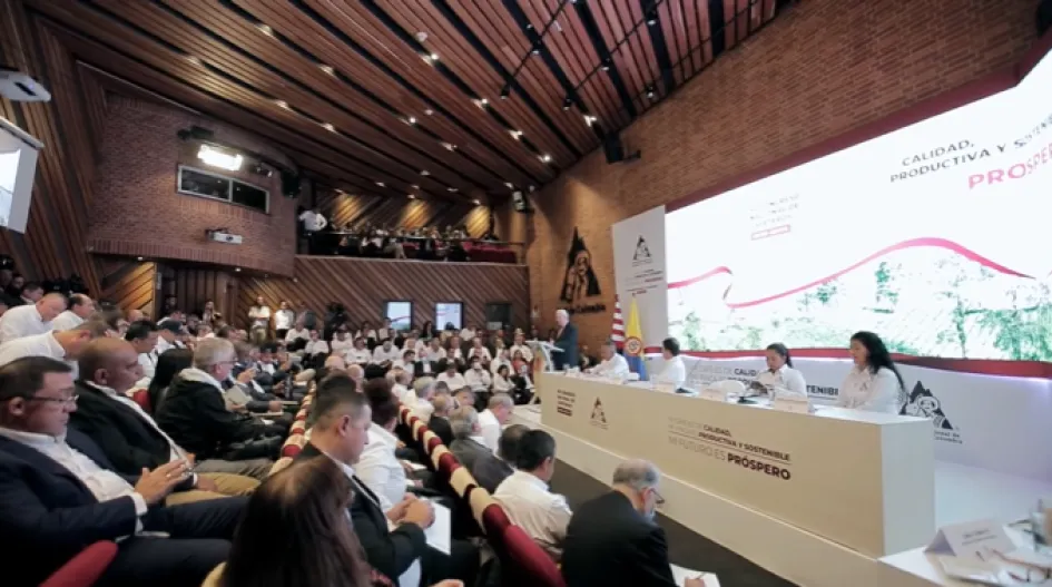 Minhacienda propone de nuevo sembrar cafés robustas, de menor calidad en Colombia