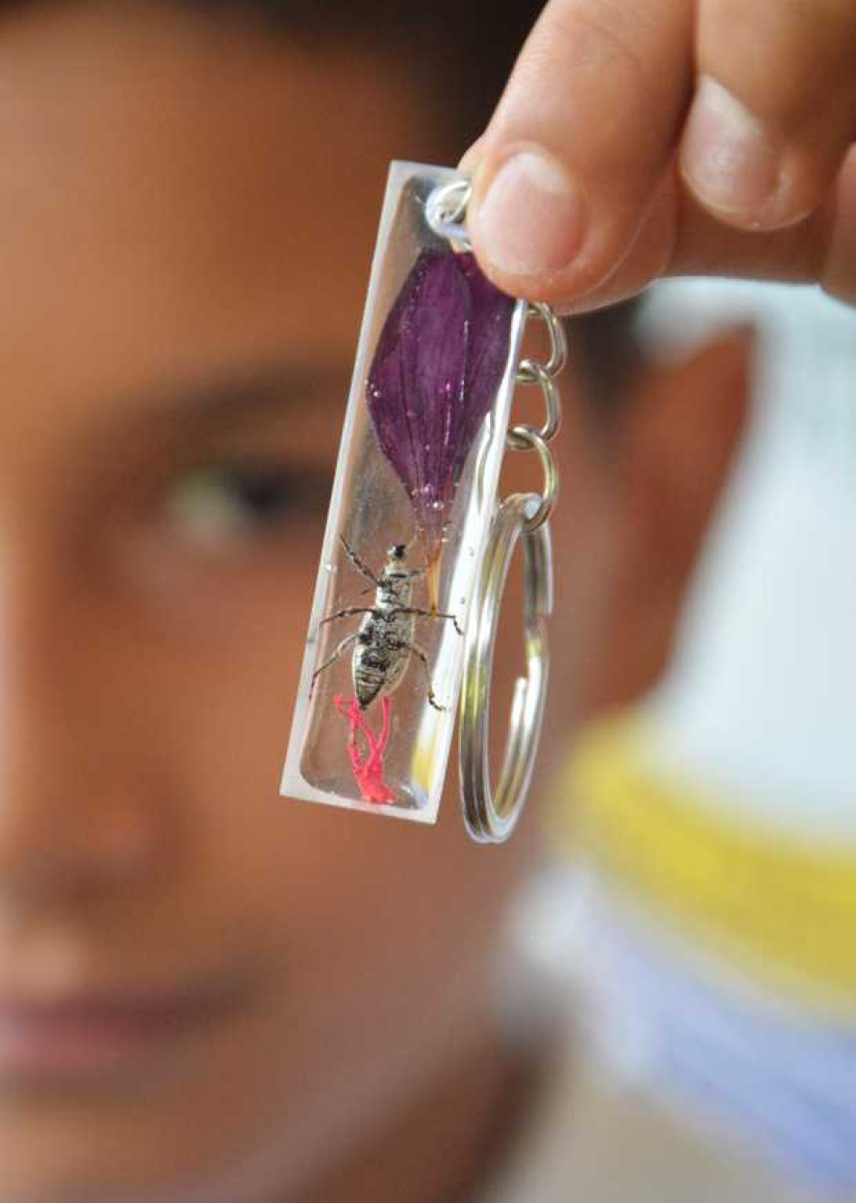 Picudos y hormigas pasan de azotar los cultivos a ser ofrecidos en stand de artesanías. La comunidad de la escuela, adscrita a la Institución Educativa La Libertad, adelanta el emprendimient ocon apoyo de la Rectoría.