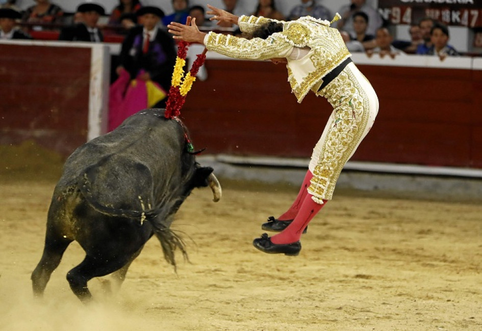 Corridas de toros en Feria de Cali