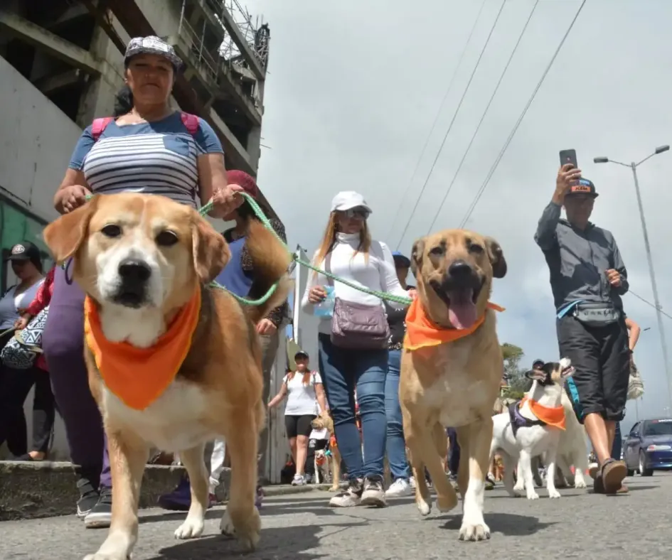 En Manizales marcharon en defensa de los animales