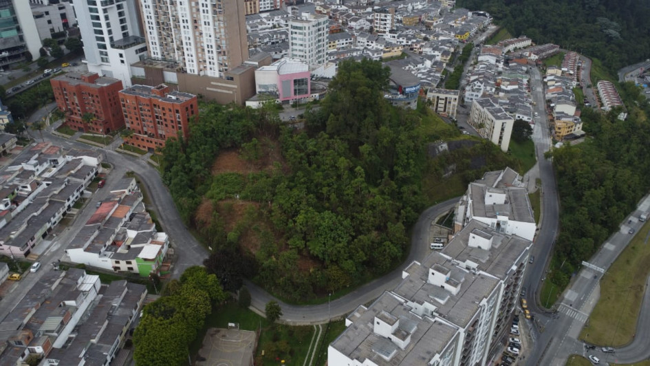 Bosque de Camino de la Palma Real, ubicado en el barrio Laureles de Manizales.