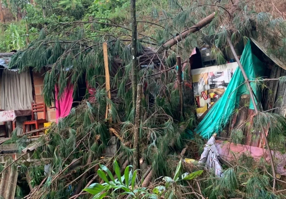 Así quedó la casa después de que le cayera un árbol encima. 
