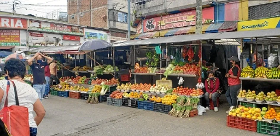 El comportamiento anual se explicó principalmente por la variación de las divisiones alimentos y bebidas no alcohólicas y alojamiento, agua, electricidad, gas y otros combustibles. 