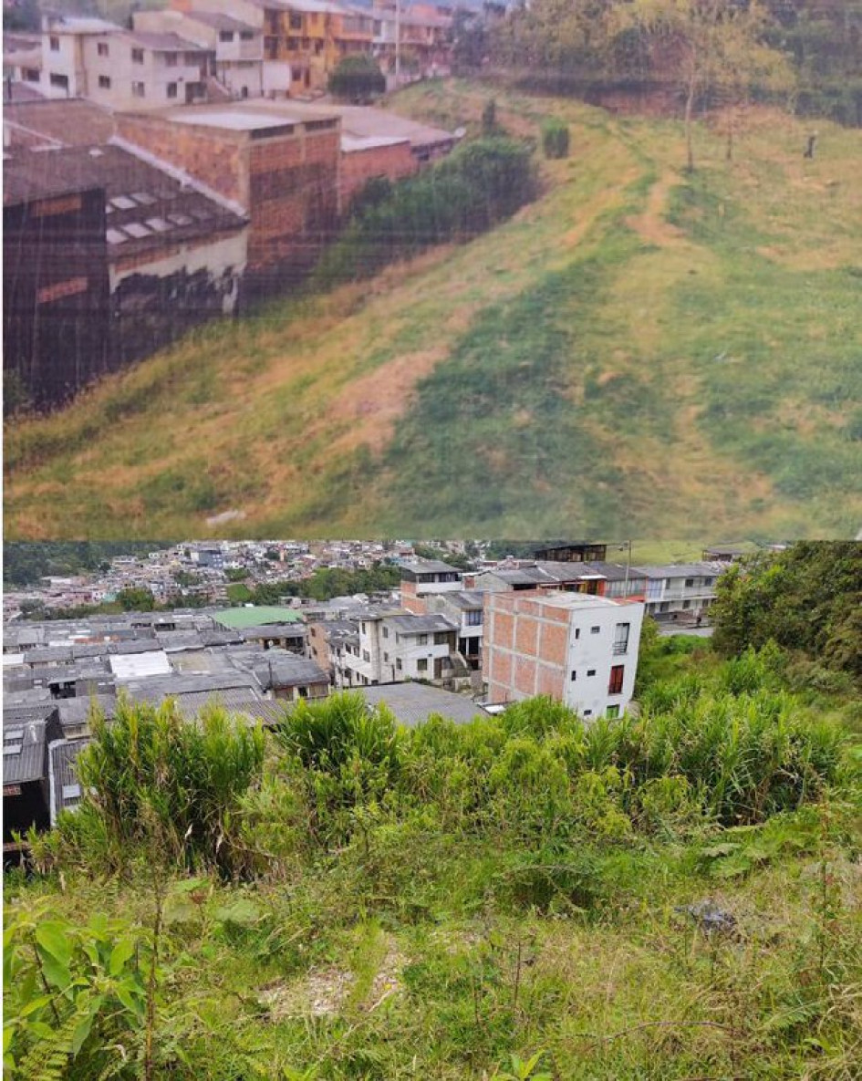 Foto | Cortesía | LA PATRIA  Comparativo del antes y el después de la ladera aledaña a las casas de La Sultana, que evidencia la falta de mantenimiento.
