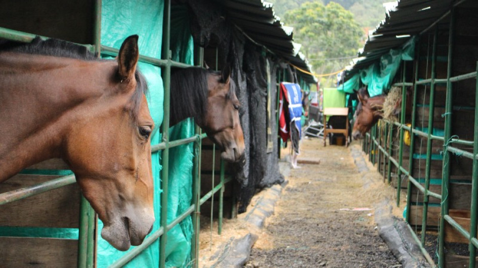 Esta semana comenzaron a llegar a Expoferias los caballos que participarán durante este fin de semana en las diferentes competencias. 