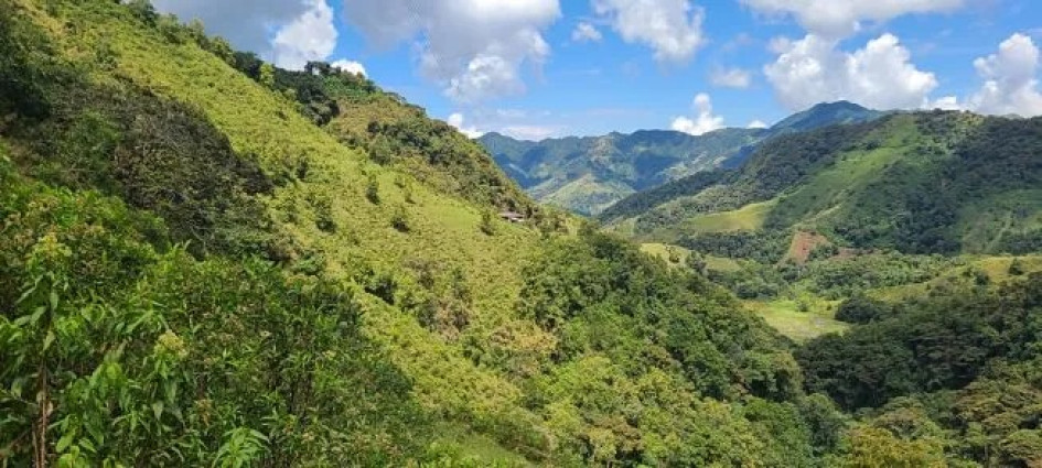 En Caldas hay dos megapredios, de acuerdo con la ANT. Imagen de referencia.