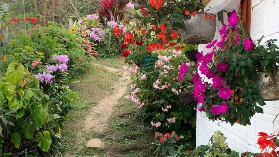 El camino se embellece con las materas.