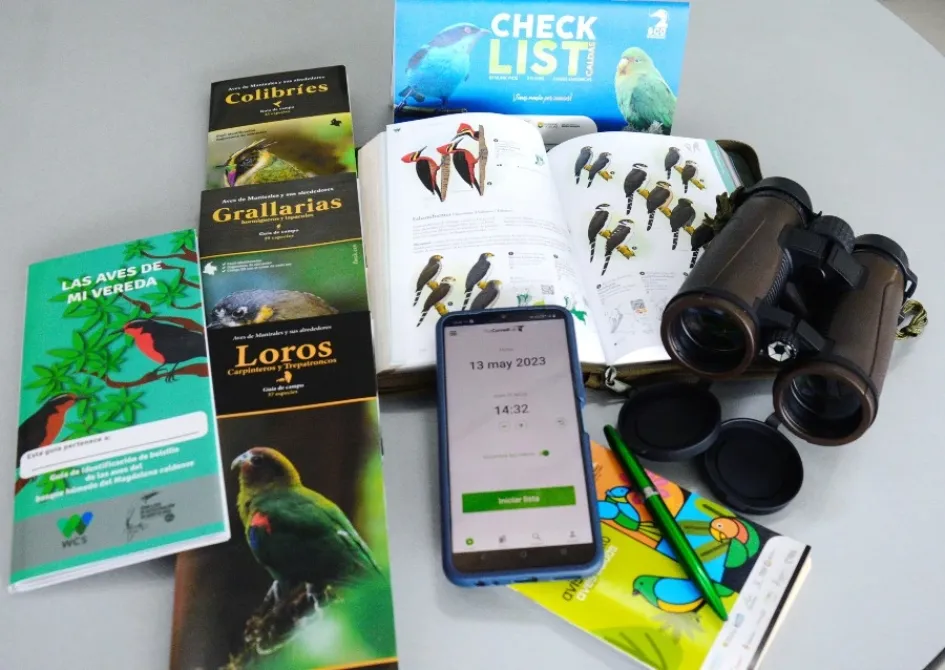 Binoculares, guías de aves, libretas de campo y la aplicación eBird son herramientas para pajarear. 