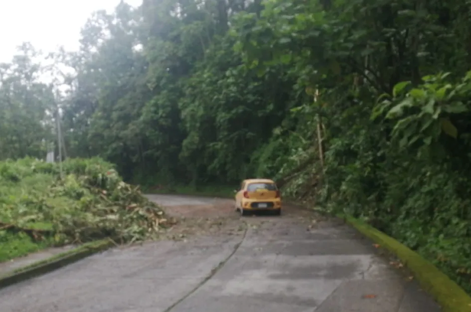 Habilitado el paso en la vía que del Hospital Santa Sofía conduce al barrio Los Alcázares. 