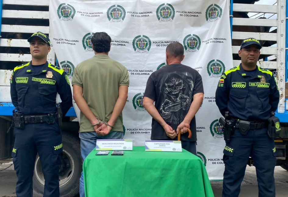 Los ladrones fueron detenidos en flagrancia, con las reses, en Filadelfia (Caldas).
