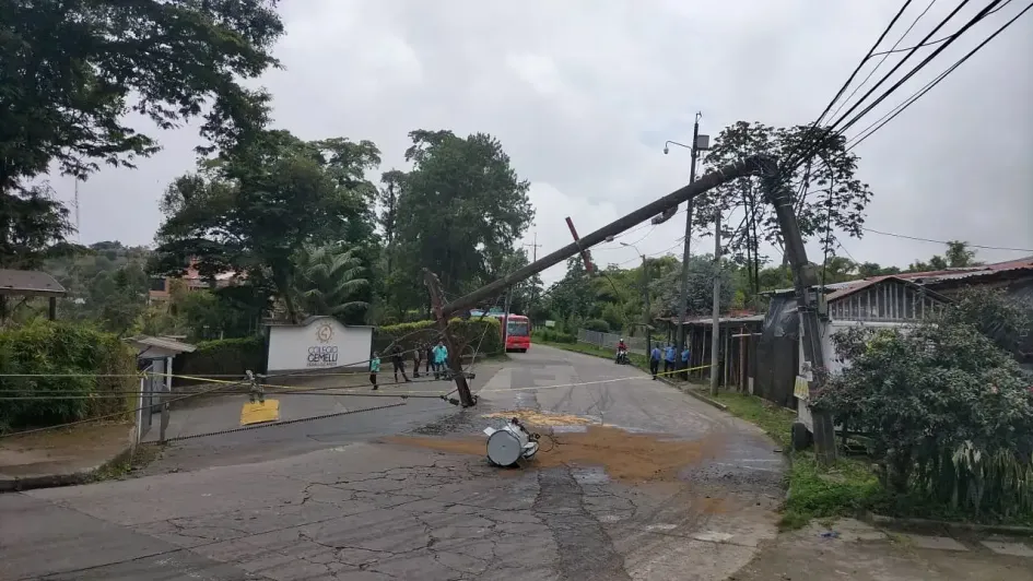 El sitio donde se cayó el árbol. 