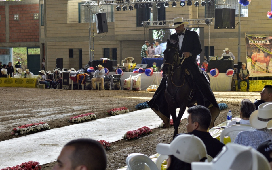 En la Exposición Equina se juzgaron las modalidades de trote y galope, trocha pura y paso fino colombiano.