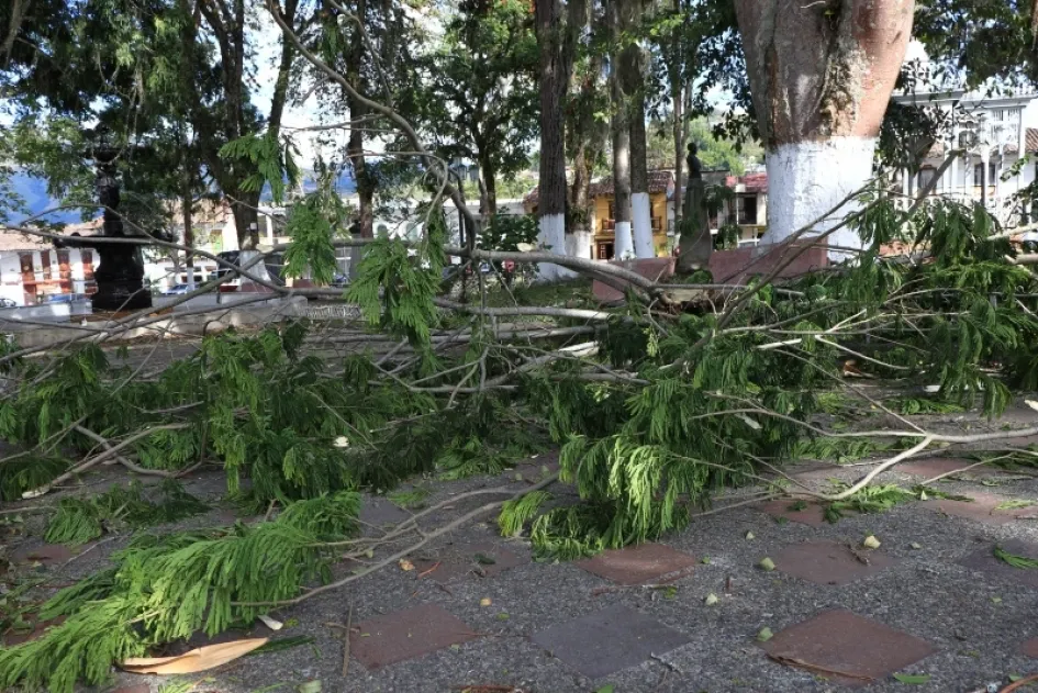 En Salamina las ramas de algunos árboles cayeron sobre el parque del Cementerio y el parque de Bolívar.