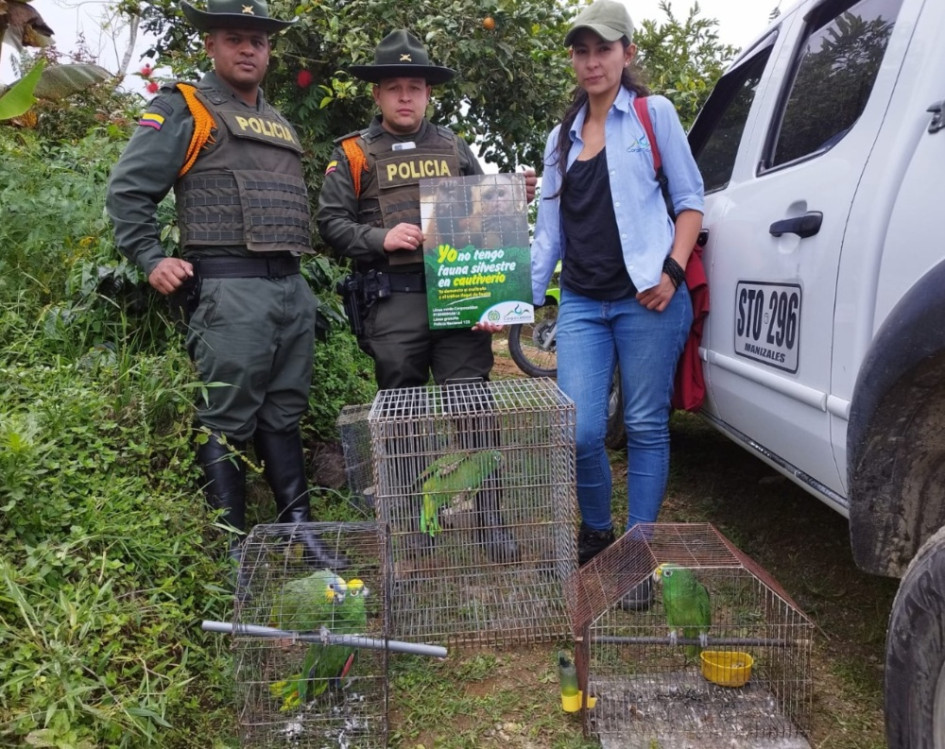 Se rescataron cinco loros y una ardilla.