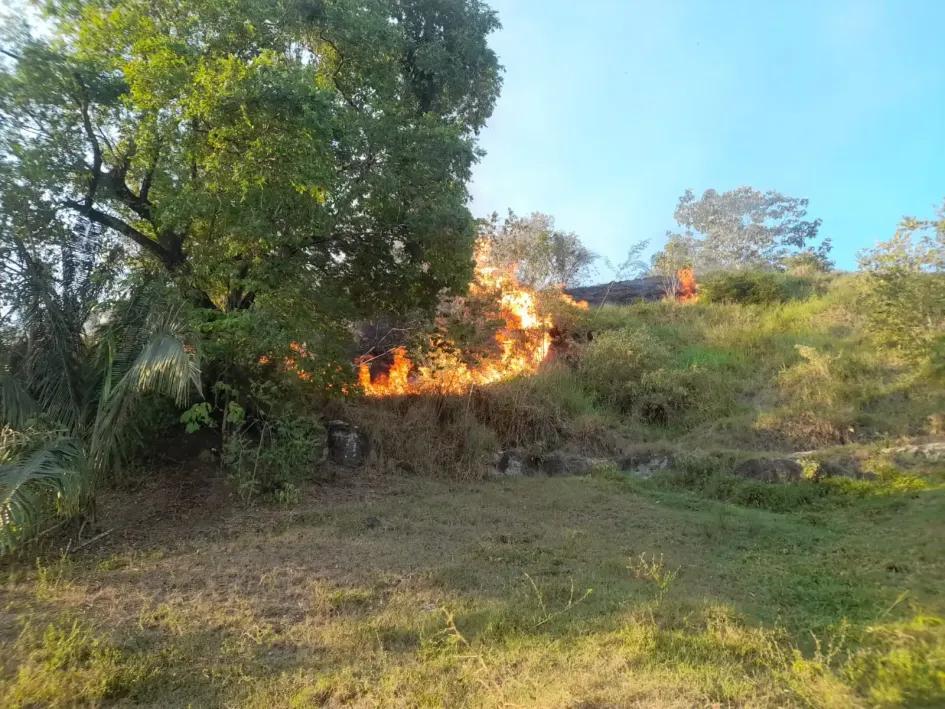 Este es el incendio en el corregimiento de Purnio, de La Dorada.