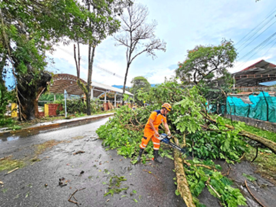 La Defensa Civil ayudó en el retiro de los árboles caídos en Supía y que obstruyeron el paso vial en la zona urbana.