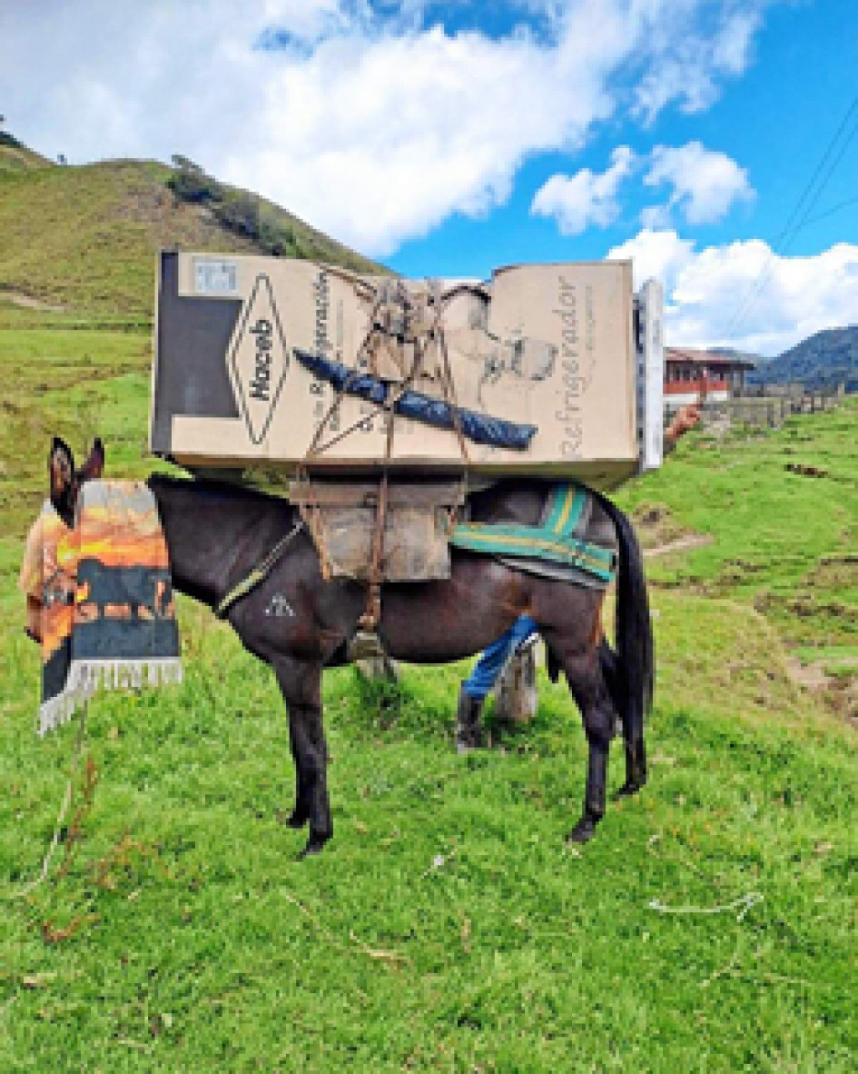 A lomo de mula llegó la nevera para la escuela de la vereda San Isidro, que servirá para conservar los alimentos perecederos que reciben los estudiantes.