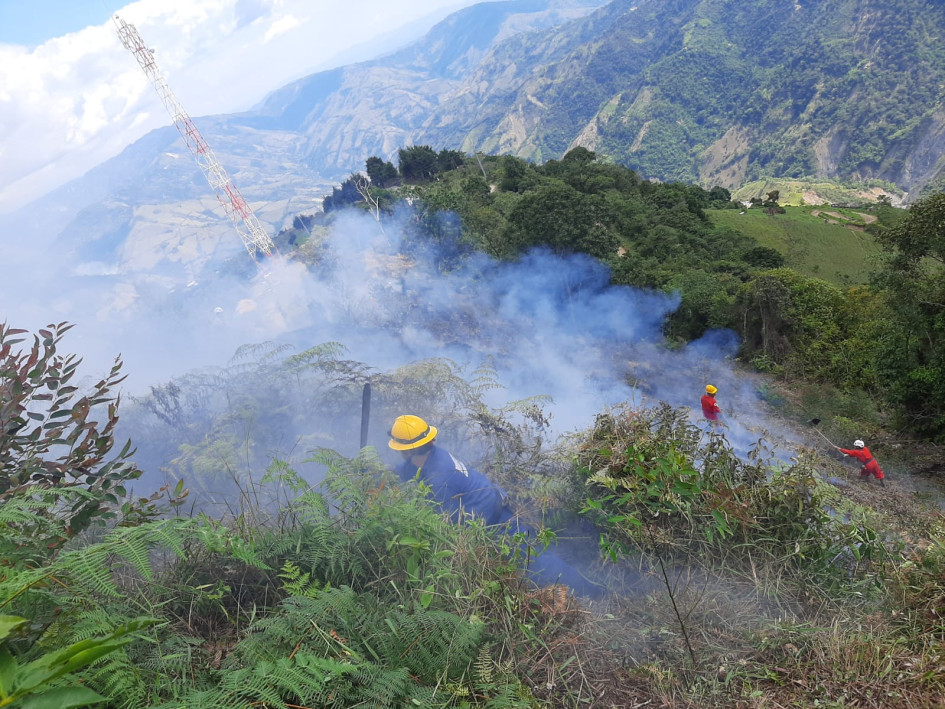 Unas tres hectáreas resultaron afectadas por el fuego.