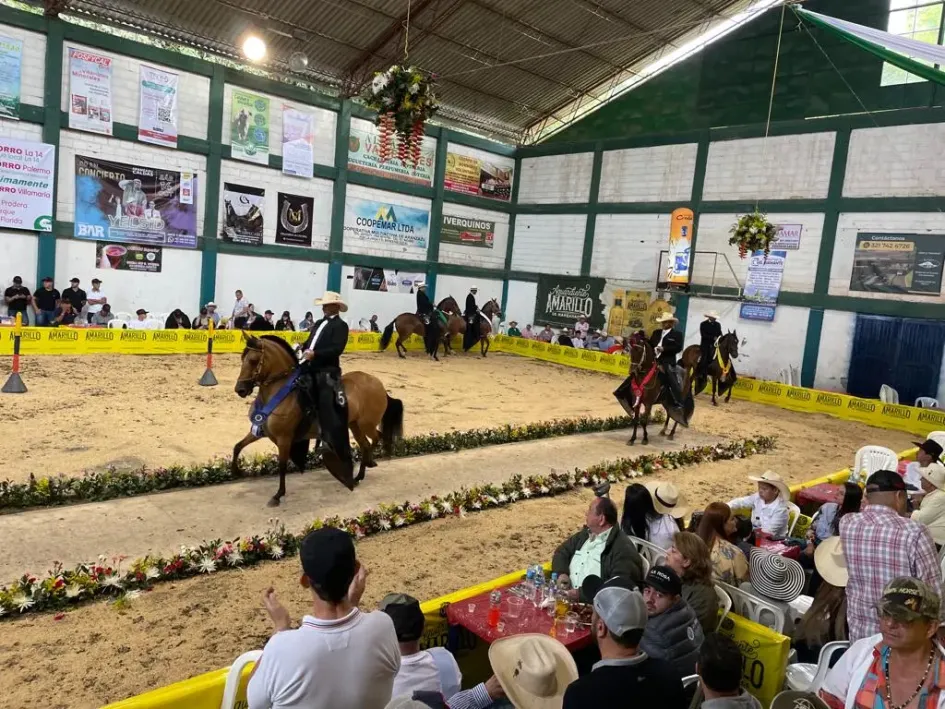Los caballos y sus jinetes en acción.