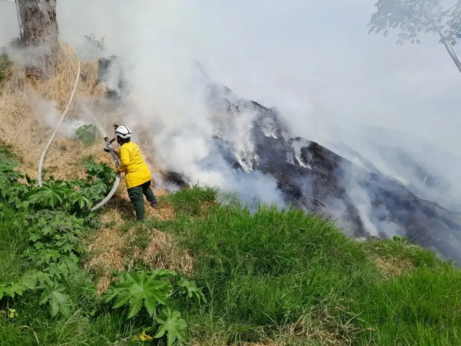 La zona donde se produjo el incendio forestal este jueves en Villamaría. 