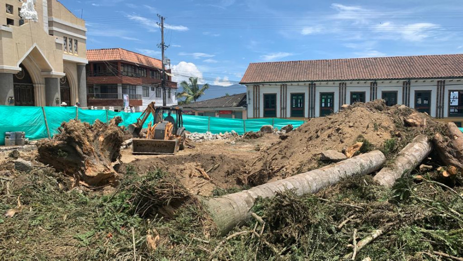 Todos los árboles y sus palmas fueron talados.