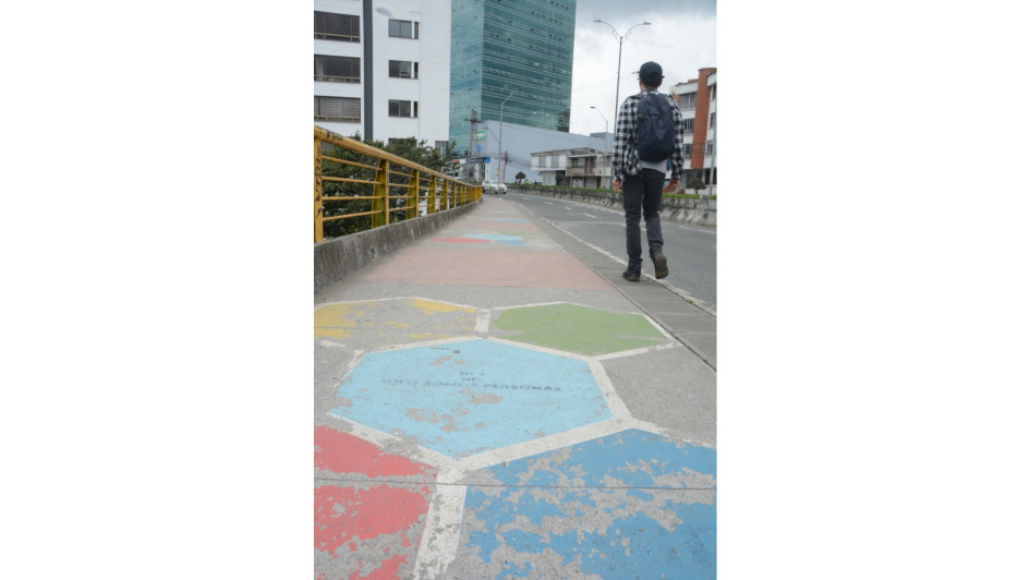 El viaducto Vizcaya, que comunica el barrio Guayacanes con el sector de San Rafael, ha sido objeto de intervenciones artísticas que pretenden salvaguardar la vida. Una de estas requiere reparación.