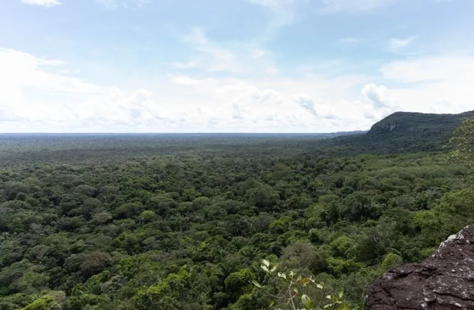 En mayo de este año se anunció un aporte del Reino Unido de 13 millones de libras esterlinas para combatir la deforestación en la Amazonía colombiana.
