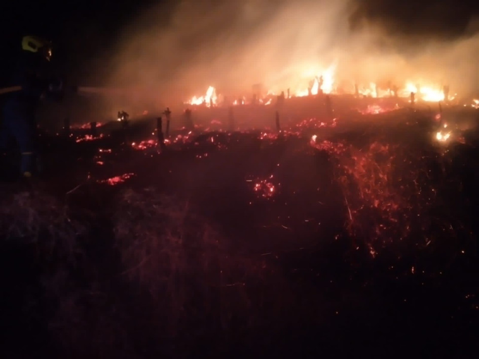 El incendio de cobertura vegetal en la vereda La Paz de San José (Caldas) afectó un cultivo de café. No dejó personas lesionadas.