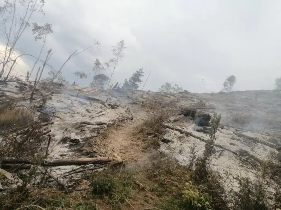 Así quedaron los terrenos de la finca Termopilas, en Aranzazu, tras el incendio forestal. 