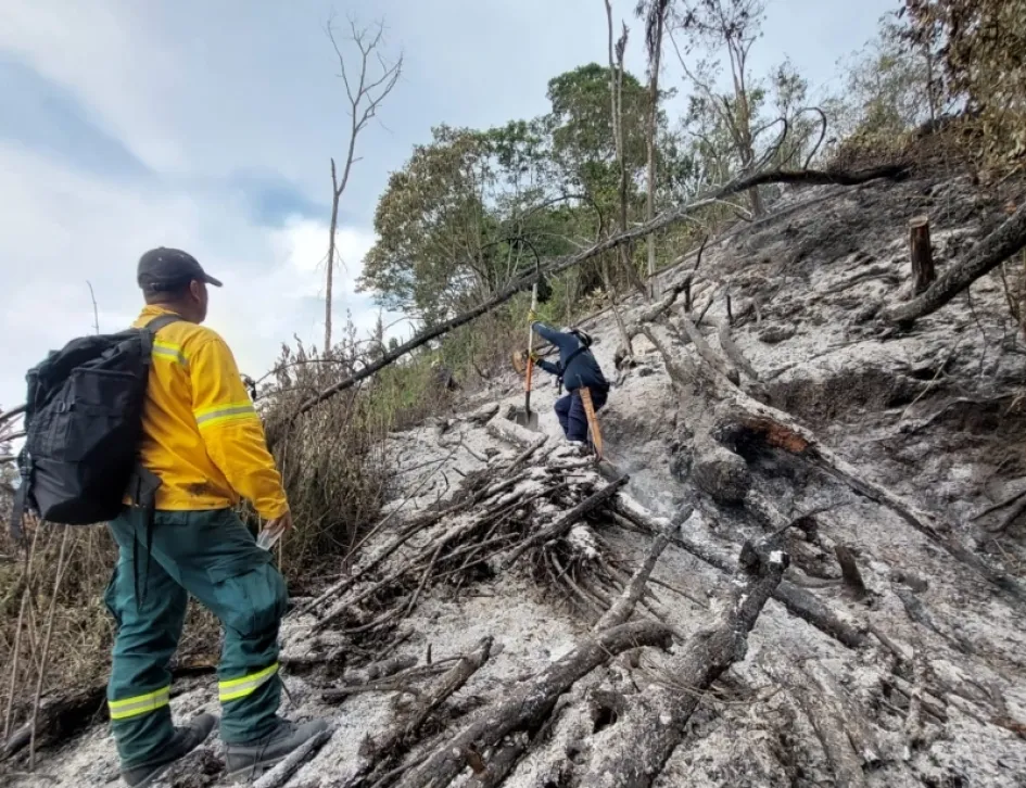 Así quedó el terreno luego del incendio forestal en Aranzazu.