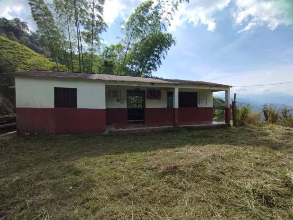 La escuela de Las Mercedes queda en una loma, a la cual se llega por un ramal de la vía que llega al corregimiento de Pueblo (Pensilvania).