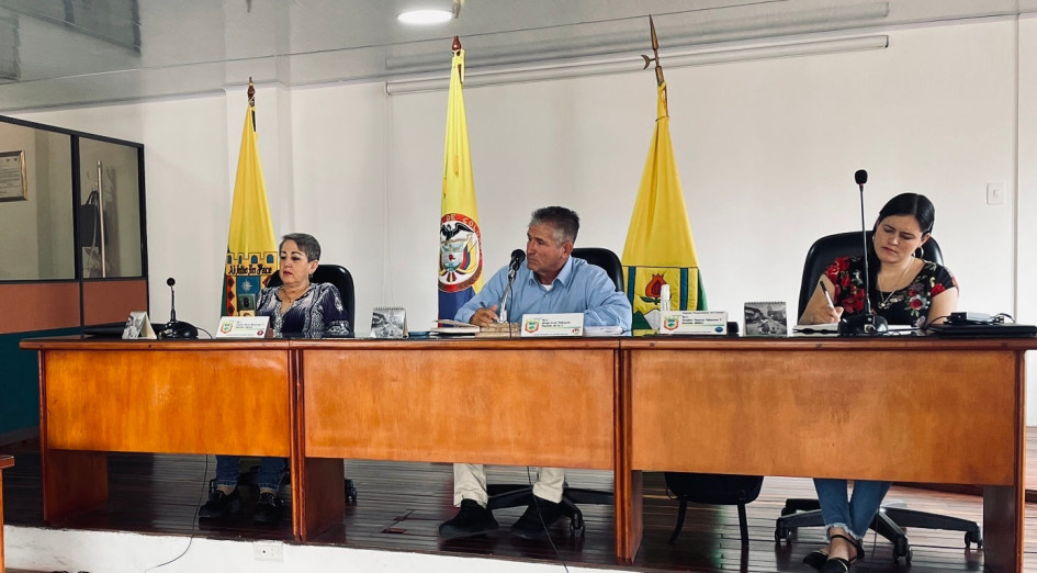 Concejo de Palestina